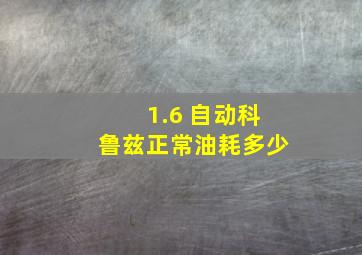 1.6 自动科鲁兹正常油耗多少